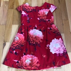 Red Pretty Floral Gap Girls Dress